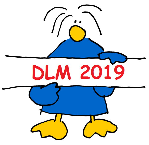 Read more about the article Abschlussbericht zur DLM 2019